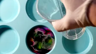 Resin Petri Dish!