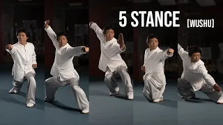 5 Stance on the Spot | Wu Bu Quan『五步拳』 with Master Tang