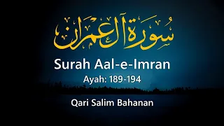 Surah Aal-e-Imran || Ayah 189-194 || Salim Bahanan || Al Quran Urdu