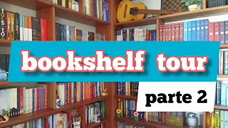 bookshelf tour PARTE 2 tour pela estante (316 livros)