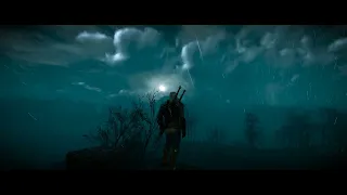 The Witcher 3 Ambience - Geralt in a rainstorm (wind, rain, thunder, lightning)