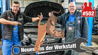 Marder wütet (mal wieder) im Opel!! 🦫😡 | Corsa-Tankanzeige defekt - Live-Diagnose!