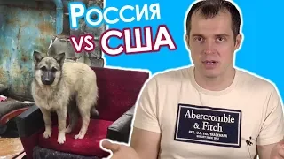 ЭТУ СТРАНУ НЕ ПОБЕДИТЬ. Россия VS Америка