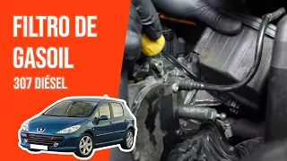 Cómo cambiar el filtro de gasoil 307 1.6 HDi ⛽