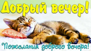 Добрый вечер! Пожелания доброго, уютного вечера и хорошего настроения! Красивая открытка!