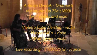 Antonín Dvořák - Drobnosti (Miniatures) Op. 75a for 2 violins and viola