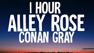Conan Gray - Alley Rose (1HOUR/Lyrics)