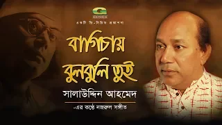 Bagichay Bulbuli Tui | Salauddin Ahmed | Album Chittogeet | Official lyrical Video