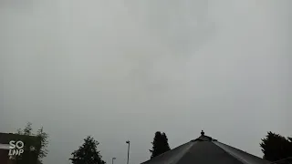 Lightning strike on bird