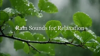 Ambient Sounds for Relaxation : Sleep Aid with Relaxing Rainfall Ambience 🌜🌧️
