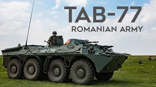 Romania's TAB-77: Another Version Of BTR-70 With A Number Of Modifications