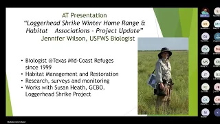 Loggerhead Shrike Winter Home Range and Habitat Associations   Project Update