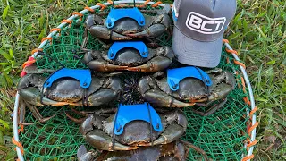 CROCODILE in CRAB POT | MUD CRABS with KIDS | NORTH QUEENSLAND MUD CRABS