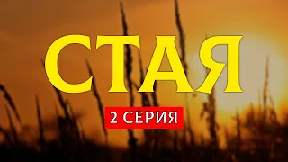 Стая - 2 серия (2022) - Очень интересные сериалы #СериальныйПодкаст #подкастпросериалы #топанонсы