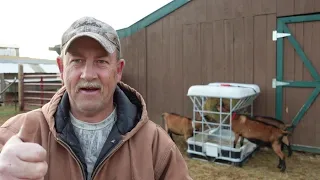 Hay Feeder Comparison - Which is Best? Mini Round Bale Hay Feeders