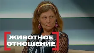 Животное отношение. Касается Каждого, эфир от 08.07.2015