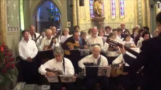 Orquestra de Violeiros de Mauá - Bandeira do Divino