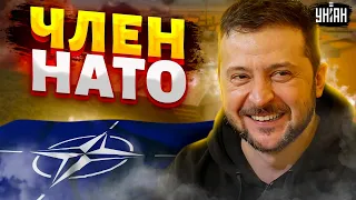 В Кремле напряглись! Украина вступает в НАТО. Альянс подготовил сюрприз | Шейтельман