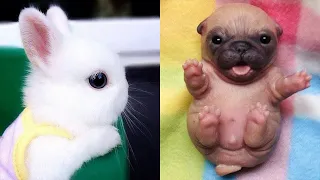Aww Cute Baby Animals Videos Compilation | Funny and Cute Moment of the Animals #4 - Happy Animals