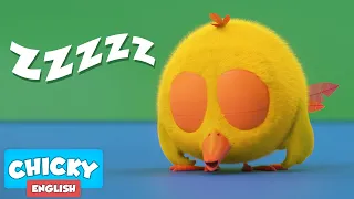 Where's Chicky? Funny Chicky 2021 | SLEEPINESS CHICKY | Chicky Cartoon in English for Kids