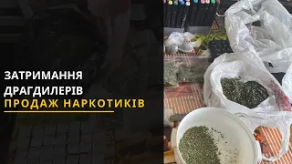 Наркотики і психотропи на Львівщині: Викрили банду наркоторговців. Новини 07.05.2021