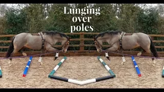LUNGING OVER POLES MADE EASY