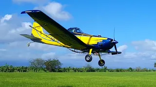 AVIONETA FUMIGANDO ARROZ | DETALLES SOBRE LA AGRICULTURA | #flight #plane #cessna #fumigation