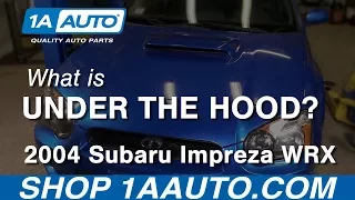 What Is Under My Hood? 02-07 Subaru Impreza WRX