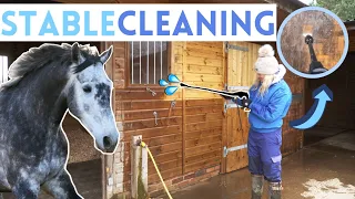 Pressure Washing The Whole Stables! Renovation Series AD | This Esme