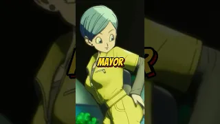 Quién es la hermana de Bulma? 🤔