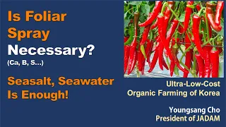 Is foliar spray necessary ?(Ca, B, S. . . .) Seasalt, Seawater is Enough!