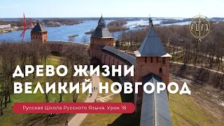 Урок 18. Древо жизни. Великий Новгород - Русская школа русского языка. Виталий Сундаков