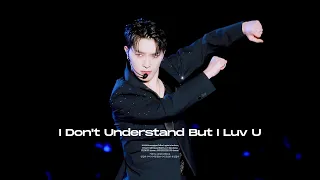 2024 세븐틴 SEVENTEEN 'FOLLOW' AGAIN TO INCHEON  - I Don't Understand But I Luv U / DINO 디노 FOCUS 직캠