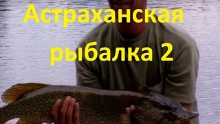 Диалоги о рыбалке - 190 - Астрахань, часть вторая.