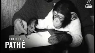 Pet Chimpanzee (1966)