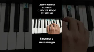 Антон Токарев hi fi Седьмой лепесток(А дождь на окнах рисует)на пианино 🎹 Обучение