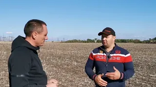 15.10.2020. В гостях у Agro Maks. Посевы пшеницы по технологии strip-till.