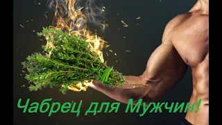 Чабрец для мужчин #мужскоездоровье #простатитлечение #простатитумужчин #аденомапростаты