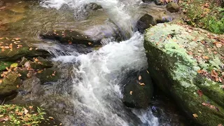 Реки Воды Живой