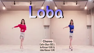 Loba Linedance / Intermediate 중급라인댄스