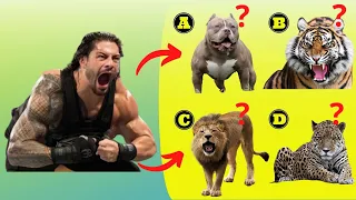WWE Quiz - Can you guess WWE Superstars looks like KING ANIMAL ?