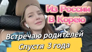 Как я встречала своих родителей из России/что мои родные везли из России в подарок/Korea Vlog