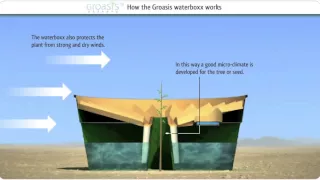 How does the Groasis waterboxx work against desertification? (With music)