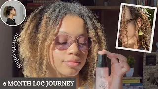 Two-Strand Twist Starter Locs | 6-month visual loc journey (with pictures and videos) | #ANNKREYE