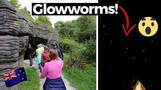 Glowworm caves in New Zealand | FASCINATING FACTS