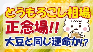 【コモディティ相場ピックアップ】2024/6/6(5:55)