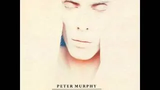 PETER MURPHY - Cuts You Up (Live at California, 7 August 1990)
