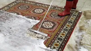 Dirty red carpet cleaning satisfying rug cleaning scraping