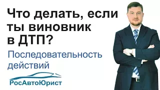 Что делать, если ты виновник в ДТП?