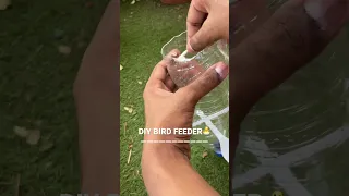 How to make easy DIY bird feeder.